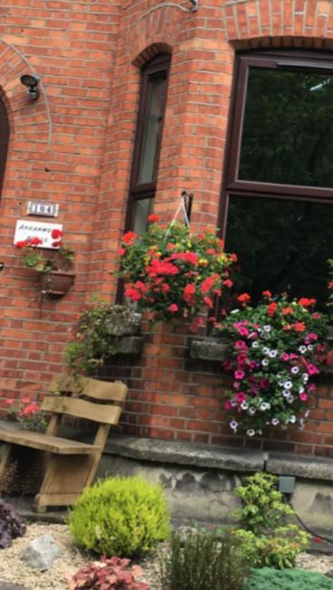 都柏林Arranmore House住宿加早餐旅馆 外观 照片